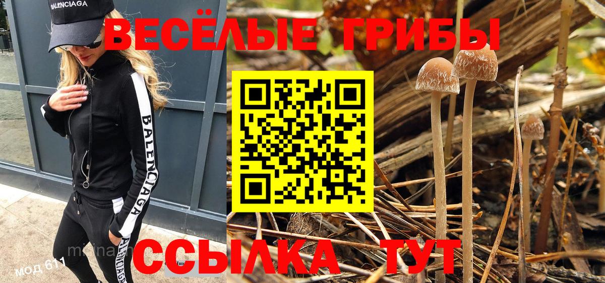 Псилоцибиновые грибы ЛСД  Вход с VPN  Бахчисарай  Псилоцибиновые грибы Magic Shrooms 