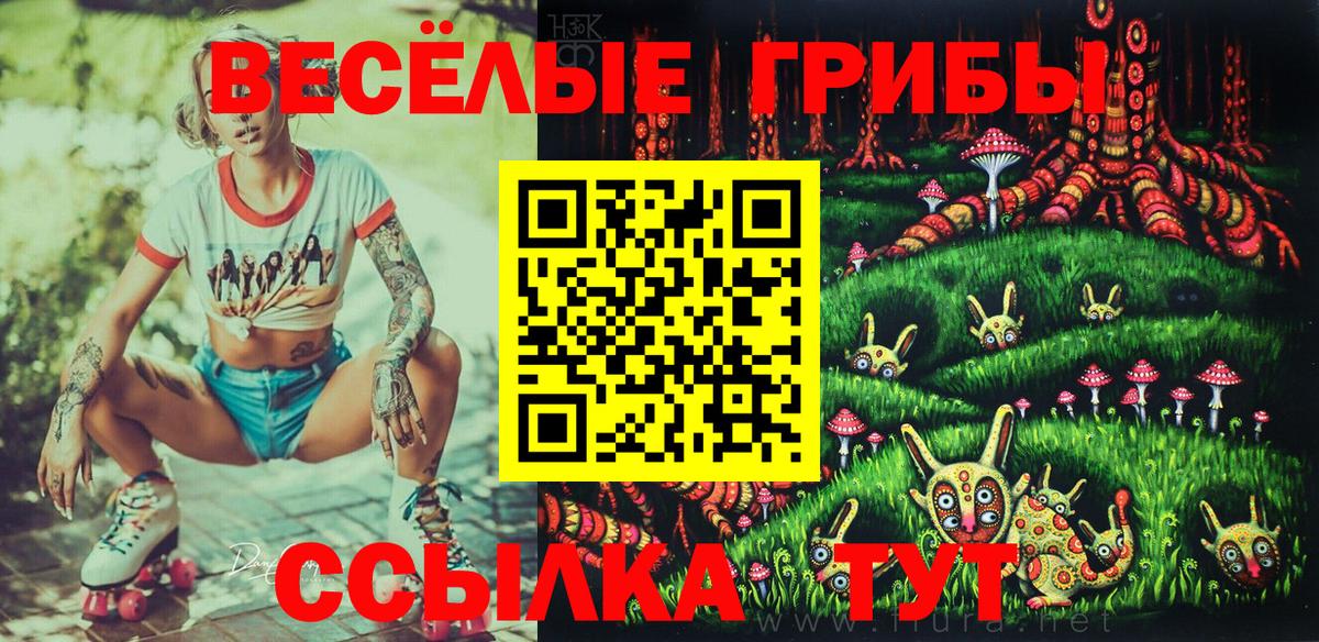 Галлюциногенные грибы прущие грибы Бахчисарай